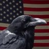 Raven ᛟ 的头像