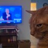 Disgusted profil fotoğrafı