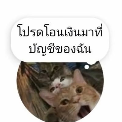 มะขามข้อเดียว's profile picture