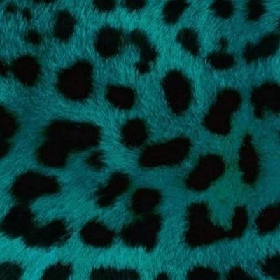 yuze 雨泽's profile picture