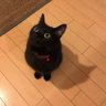 Profilbild von ばお
