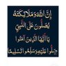 علي المري's profile picture