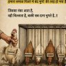 Dr.Harsh jATAV (शोधार्थी)'s profile picture