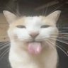 Profilbild von SpixBS