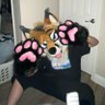 Nollidr🔜MFF?🏝️'s profile picture