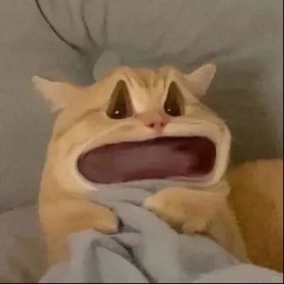 Babymeltyx.(เรียกเม้ลได้น้า)'s profile picture