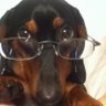 Profilbild von soph