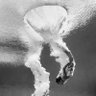 mr. deeds's profile picture