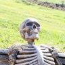 Skeleman's profile picture