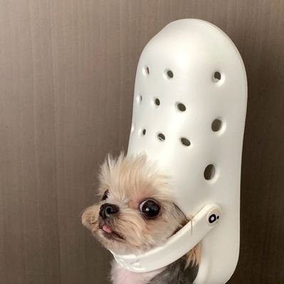 juujuu Felix 👸's profile picture
