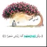 مـوضـي المـزيـّد 的头像