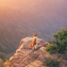 Фото профиля عمر حسن