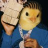 TheMemeticMovement's profile picture