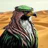 ناصر رُؤية's profile picture