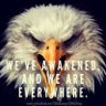 KRFIBMD's profile picture