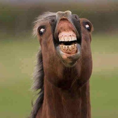 dreyfn2's profile picture