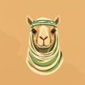 Profilbild von Wafi Al-Jazirah
