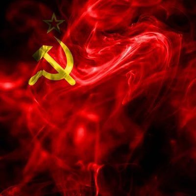 totalitarizm14's profile picture