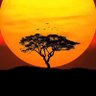 Фото профиля Land of the Black People @