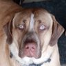 OldManUSA™ profil fotoğrafı