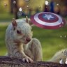 Фото профиля LibertarianSqrl