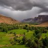 أبونواف الهلالي profil fotoğrafı