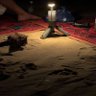 Фото профиля نيوف الهاجري