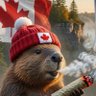 Фото профиля JustPlainOldMe 🇨🇦 🇨🇦 🇨🇦