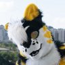 Profilbild von Donz๐กโซ๏ธ๐ฏ๐ MFF, ANE 27