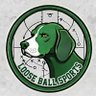 Profilbild von Loose Ball Sports
