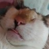Profilbild von E-X-A-U-S-T-A