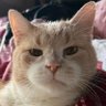 artie 🔻 profil fotoğrafı