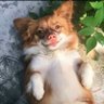 Ma.lola's profile picture