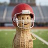 SportsNut 的头像