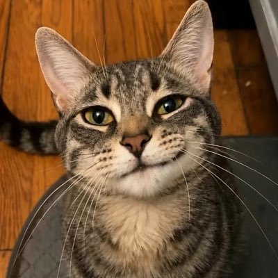 slowlyslide's profile picture