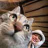Фото профиля Catatanmalam
