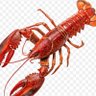 zin_ironia's profile picture