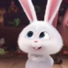 กาตุ๋ยสองตัว🐼🥕's profile picture