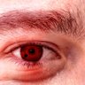Professor_Taras's profile picture