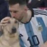 Gonzx 🇦🇷 的头像
