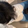 对不起's profile picture