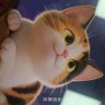 乌玛Babi profil fotoğrafı
