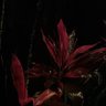 Фото профиля .