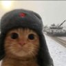 MosinBids profil fotoğrafı