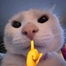 AlmondYum's profile picture