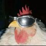 braden's profile picture