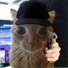 oscachondito profil fotoğrafı