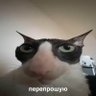 Фото профиля 30 віршів про любов і Житомир