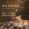 Ling's profile picture