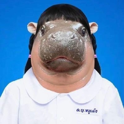 playfon_65's profile picture